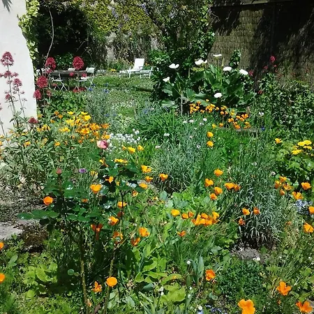 Bed and Breakfast D'hotes Aroha 3*